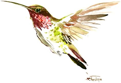 Hummingbird, Original Watercolor Painting (one of a kind) 12 X 9 in