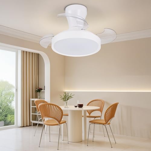 activeallbrite Ceiling fan with light, DC motor, 38W, 6 speeds, retractable blades, 3000K-6500K, summer-winter function, timer, Ø55cm.