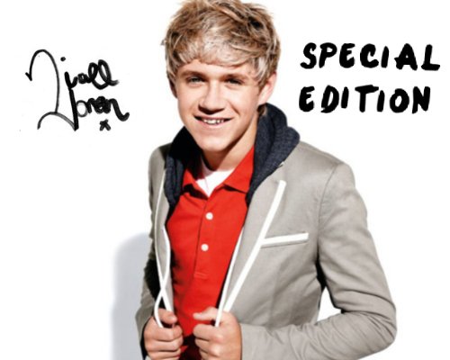 1d in America parts 1, 2, 3 and 4 Special Edition (Niall's unofficial diary)