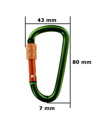 Gold Lion Gear Aluminum Carabiner D Shape Buckle Pack, Keychain Clip, Spring Snap Key Chain Clip Hook Screw Gate Buckle -Pack of Assorted Color Carabiners (Multi-Color, 5 Locking Carabiners)
