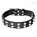 ITERY Durable Leather Studded Pu Leather Dog Collar Adjustable 17-21 Inch (Black)
