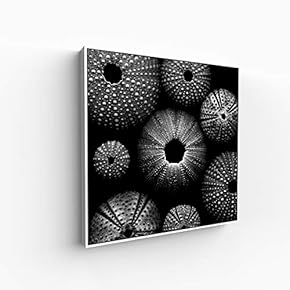 Canvas Wall Art for Living Room, Bedroom Monochrome Image Framed Canvas Prints for Home Decoration Ready to Hang - 16x16 inches