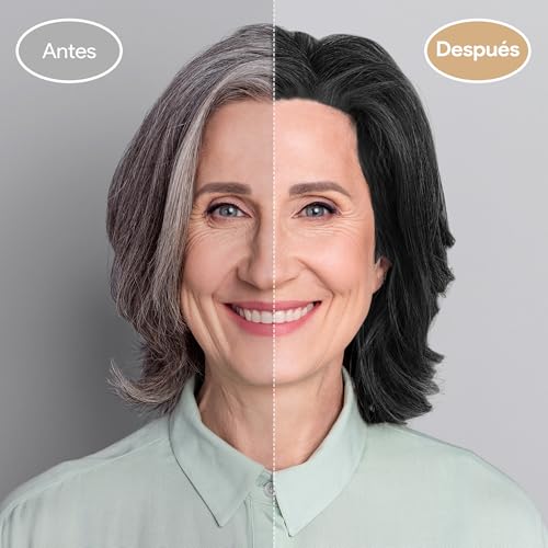 Black Hair Dye Shampoo 3 in 1, Shampoo para Canas con Tinte, Champú para Teñir el Cabello Negro, Champú Tinte Cubre Canas para Mujer y Hombres (500ML)