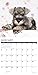 Just Schnauzer Puppies 2019 Wall Calendar (Dog Breed Calendar)