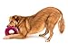 West Paw Zogoflex Air Dash Dog Frisbee – Floatable Flying Disc Pet Toys – High-Flying Aerodynamic Disc for Dogs – Lightweight Chew Puppy Toy for Fetch, Catch, 8” Round, Dandelion