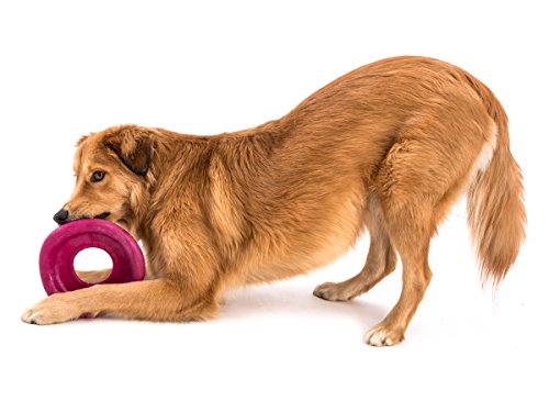 West Paw Zogoflex Air Dash Durable Dog Frisbee Nearly Indestructible Flying Disc Dog Toy, 100% Guaranteed Tough, It Floats!, Made in USA, Large, Dandelion