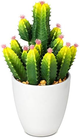 Myartte Home Decor Office Decor-Artificial Shrubs Artificial Succulent Plants Mini Fake Plants for Beautifying Our Life and Home Environment (White F)