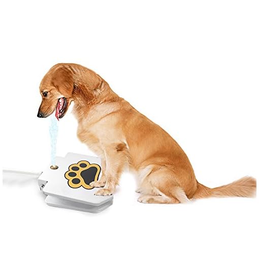 outdoor dog water fountain hose