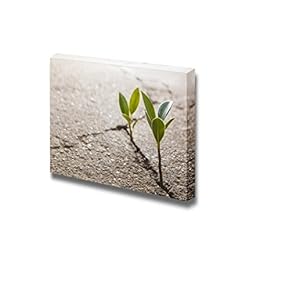 Weed Growing Through Crack in Pavement Wall Decor