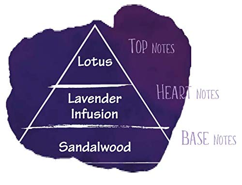 Jardin - Lavender Infused Mixer to Enhance Champagne, Spirits and Non Alcoholic Cocktails, Low Sweetness, Aromatic, Floral, Non-GMO, No Preservatives, Less than 1 g sugar, Shimmer (750 ml)