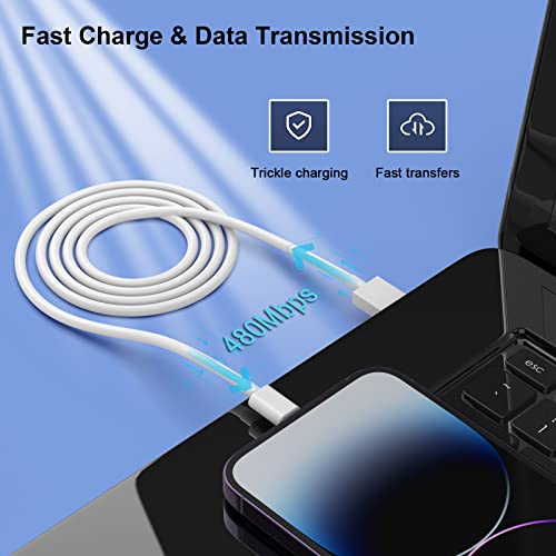 6Pack(3/3/6/6/6/9 FT) Original [Apple MFi Certified] iPhone