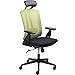 CUBOC 24 Hour High Back Ergonomic Office Chair with Tilt Lock, Tall Desk Chair with PU Headrest and Adjustable Armrest, Lime Green Mesh
