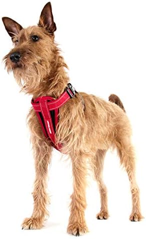 EZYDOG Classic Chest Plate Harness, Purple, Extra Small - Image 4