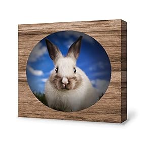 Canvas Wall Art Rabbit Canvas Painting Wall Poster Decor for Living Room Framed Home Decorations - 12x12 inches