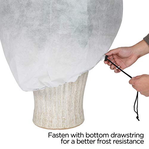 1 PHI+VILLA+Plant+Protector+Protection