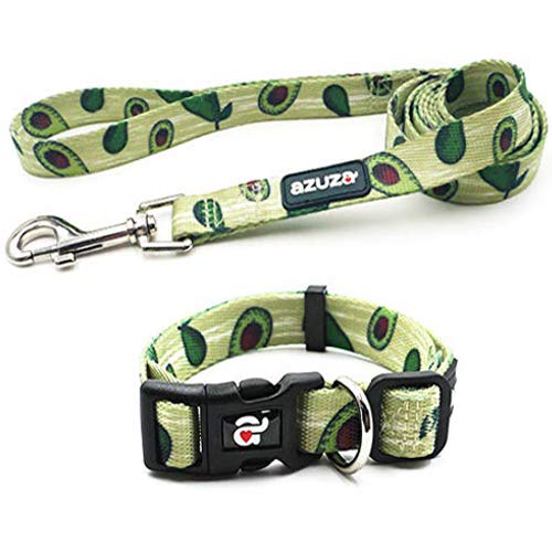 azuza Dog Collar and Leash Set,Adjustable Nylon Collar with Matching Leash,Avocado,Large