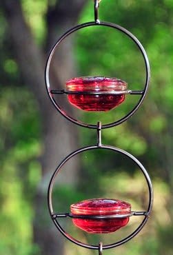 Amazon Com In The Garden And More Hummingbird Feeder Meal Worm