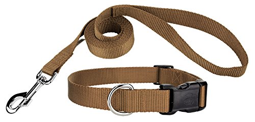 Country Brook Design 3/8 Inch Deluxe Nylon Dog Collar & Leash - Coyote Tan - XS