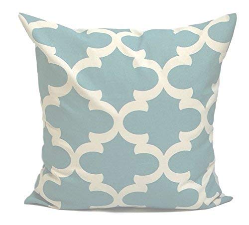 Amazon Com Robin S Egg Blue Pillow Cover Spa Blue Pillow