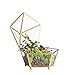 NCYP Small Geometric Vintage Glass Jewelry Box, Gold Succelent Plants Terrarium with Swing Lid, Pentagon Shape Clear Metal Brass Display Planter for Wedding Decoration (No Plants, Terrarium Only)