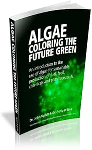 kindle best category lists