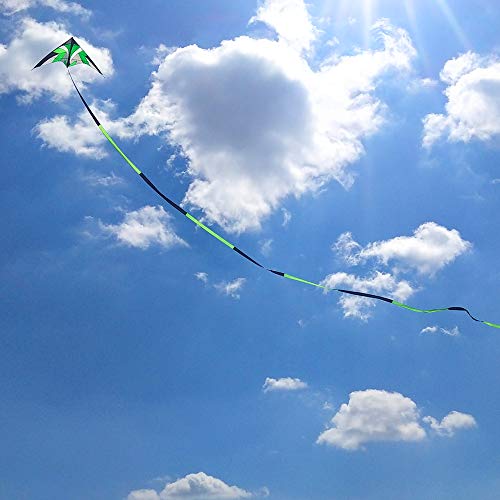Kite Tail,Flat Ribbon Streamer Rainbow Multi Color (Green Black), 49 Feet