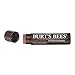 Burt's Bees 100% Natural Tinted Lip Balm, Forest Flower with Shea Butter & Botanical Waxes – 1 Tube