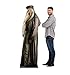 Advanced Graphics Professor Dumbledore Life Size Cardboard Cutout Standup - Harry Potter and the Order of the Phoenix