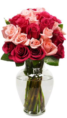 Benchmark Bouquets 2 Dozen Blushing Beauty Roses, With Vase (Fresh Cut Flowers)