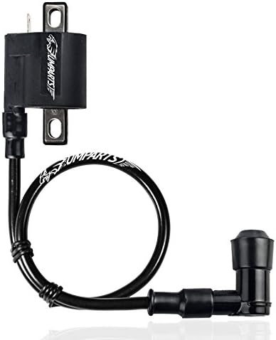 UMPARTS (IC1) Standard Spark Plug Ignition Coil for Lance 250cc Grand Touring 250 (4 Stroke) Liquid-cooled 2004 2005 2006 2007 2008 2009 # IGCL-LIN