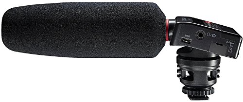 Sony-a7Sii-Full-frame-Mirrorless-Interchangeable-Lens-Camera-w-Tascam-Pro-DR-10SG-Audio-Recorder-Mic-Kit