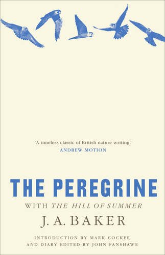 The Peregrine: With The Hill of Summer