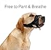 Dog Muzzle Nylon Soft Padding, Adjustable Loop, Black (L, Black)