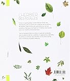 Image de L herbier des feuilles ne