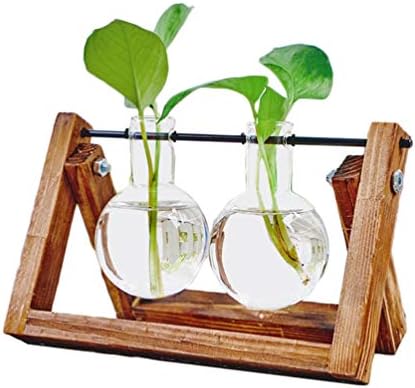 KYMAKE KYMAKE Clear Glass Planter Bulb Vase with Vintage Wooden Stand - High Borosilicate - Handmade - Best Choice Decorating Your Life. (2 Terrarium)
