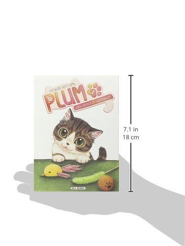 Plum Un Amour De Chat T01 Hors Collection French Edition Natsumi Hoshino Amazon Com Books