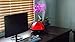 Canary Products HZ117 Red Humidifier