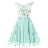 FNKS Women's Straps Lace Bodice Short Prom Gown Homecoming Party Dress
