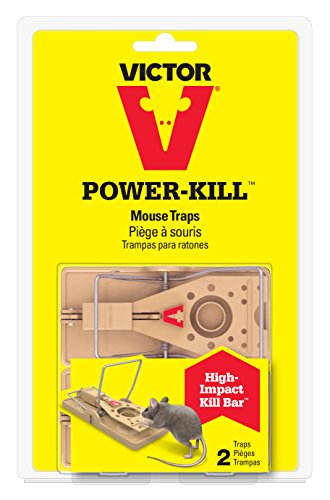 Victor Power Kill Mouse Trap (Pack of 12) - //medicalbooks.filipinodoctors.org