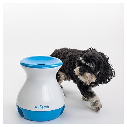 iFetch Frenzy, Mini