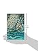 The Girl from Felony Bay (Felony Bay Mysteries, 1)
