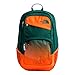The North Face Wise Guy Backpack