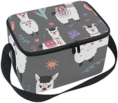 FORMRS Cartoon Llama Alpaca Lunch Box Insulated Lunch Bag Large Cooler Tote Bag for Kids, Men, Women