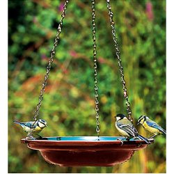 Hanging Ceramic Bird Bath Water Dish With Chains Amazon Co Uk