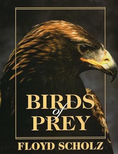 Birds of Prey: Olsen, Penny, Newton, Ian: 9780816021826: Amazon