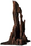 Underwater Treasures Petrified Wood - Large