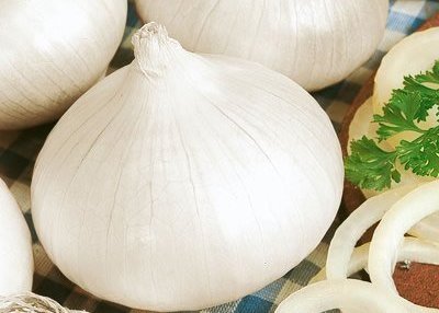 Eden Brothers Onion Seeds (Long Day) 