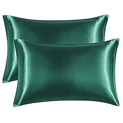 EHEYCIGA Satin Pillowcase for Hair and Skin Silk