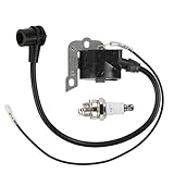 Anzac 503901401 Ignition Coil Module For Husna 50