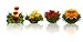 Tea Beyond Tea Samplers Assorted Fab Flowering tea 4 packs Earl Grey 20g Jasmine Green Tea 20g Caramel Black Tea 20g Non GMO No additives No flavors added Natural Tea Gift Set